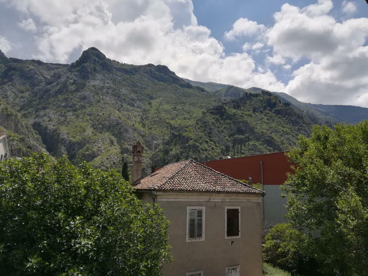 Apartment Nikolic Kotor Dış mekan fotoğraf